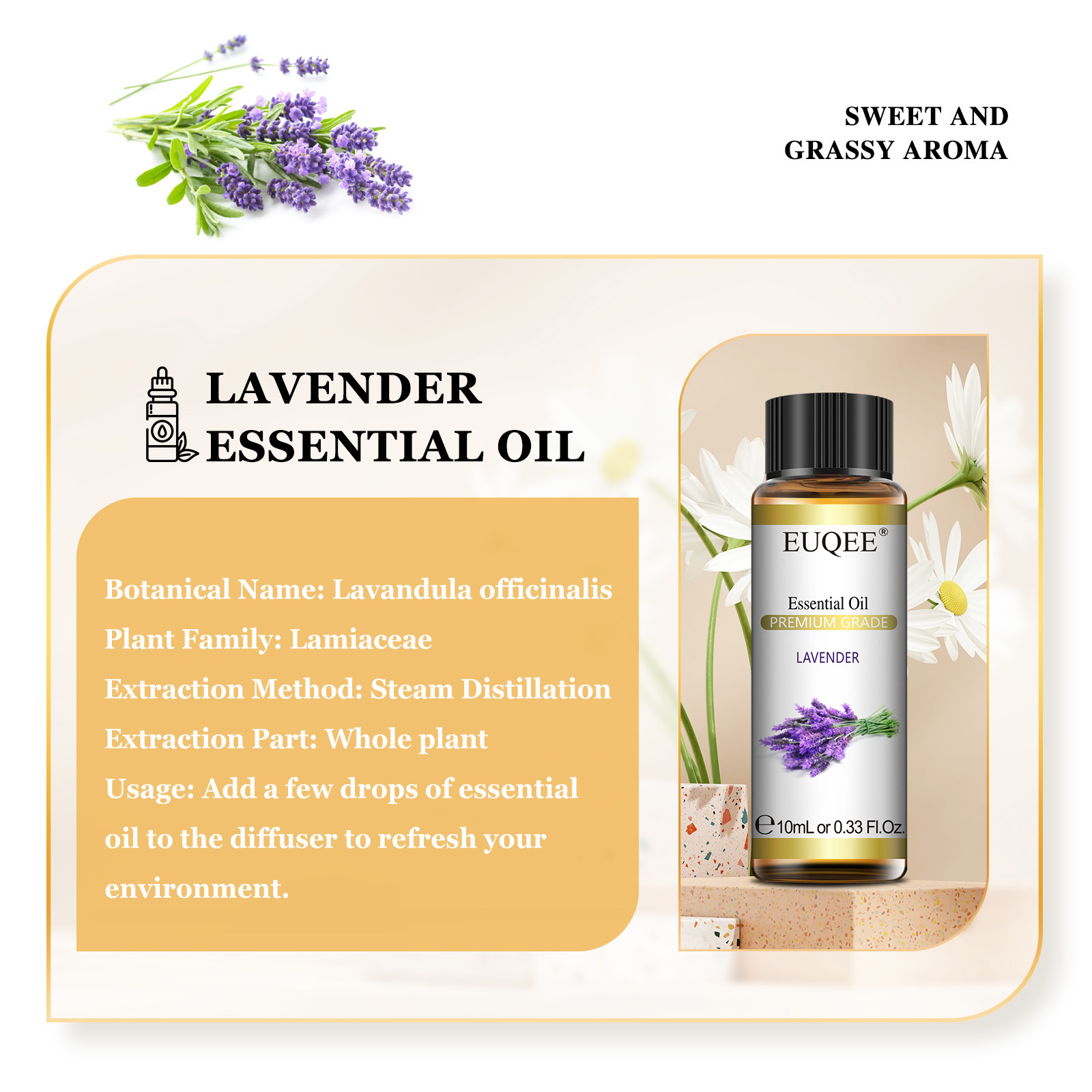 EUQEE 10ml Pure Natural Essent - đánh giá và giá Fragrance Oil 10Ml